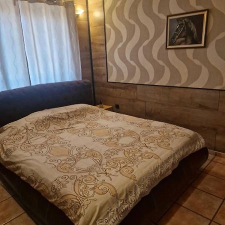 Guest House Maja Нови-Сад Экстерьер фото